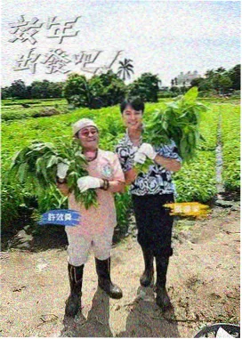 纪实剧 实习教师日志